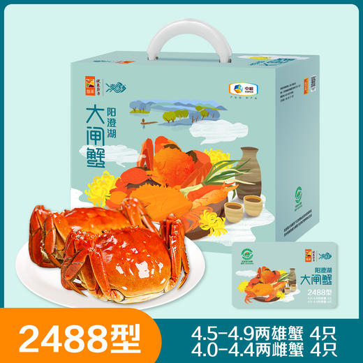 中粮阳澄湖大闸蟹2488型 商品图0