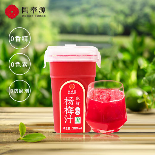 陶奉源冰鲜杨梅汁 380ml/960ml 绿色食品 低温冷榨 果汁含量≥60% 冰凉爽口 果汁饮品 商品图9