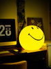 荷兰Mr Maria 笑脸灯Smiley lamp 45CM 商品缩略图10