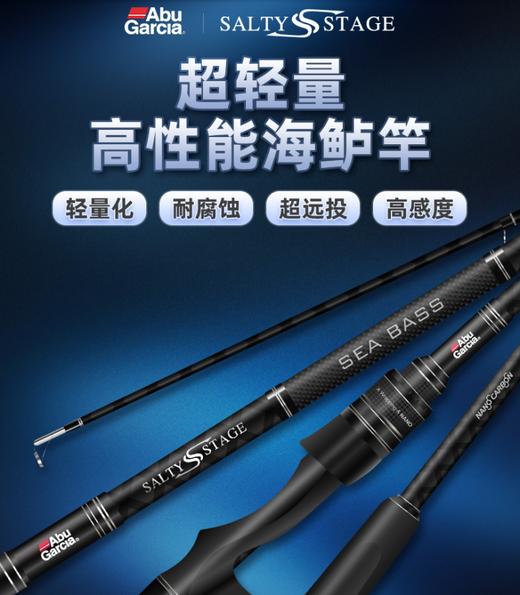 阿布海洋系列远投海鲈竿船钓枪柄直柄翘嘴鲈鱼高感知高强度路亚杆 商品图0