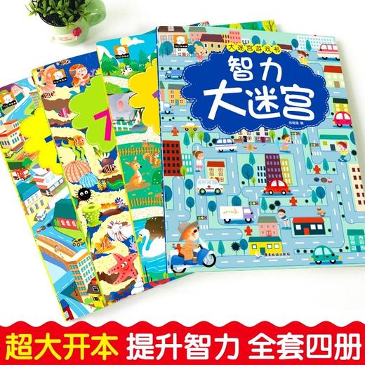 迷宫专注力训练注意力训练书 迷宫书全4册 3-5-6-7岁以上儿童益智类图书 幼儿园孩子思维训练游戏书 走迷宫的书 迷宫大冒险大侦tan 商品图2