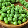 云南高原甜脆豌豆 当季新鲜青豌豆，新鲜采摘，现货现发，不要错过哦！ 商品缩略图4