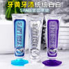 【三色yi菌，拍1发6】源自意大利轻奢牙膏中的爱马仕 INS博主种草 一肆生活多肉葡萄海盐荔枝经典薄荷美白防蛀有效清洁100g 商品缩略图2