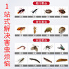 清扬 杀虫剂 无味喷雾杀虫水蟑螂药除螨灭蚊子飞虫苍蝇药除虫剂 驱蚊杀虫气雾剂 600ml 商品缩略图7
