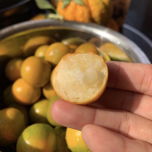 【广西脆蜜金桔】肉质嫩滑、蜜甜怡人，糖心果肉、肉色嫩黄、皮薄肉厚多汁 商品图4