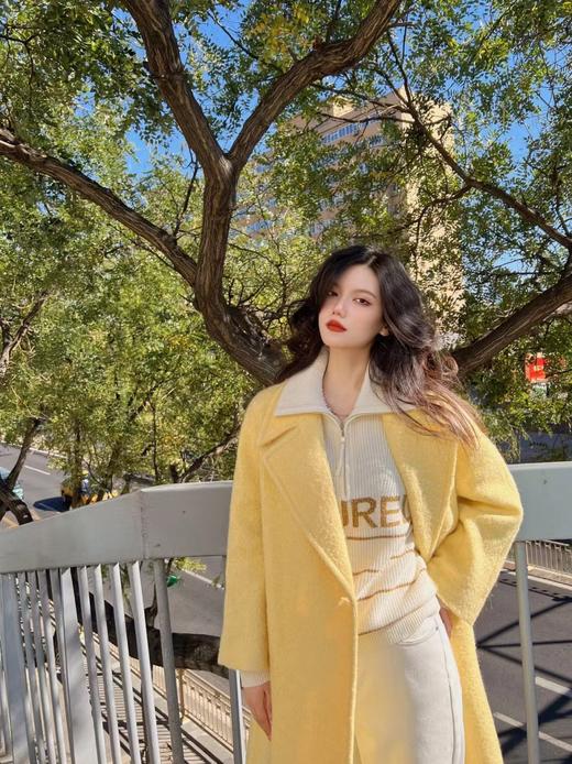 Laurel劳芮 泰迪绒羊毛大衣LWL334D02200 商品图6