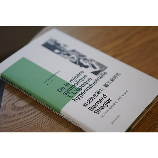 象征的贫困1 贝尔纳·斯蒂格勒 著 文化 商品图1