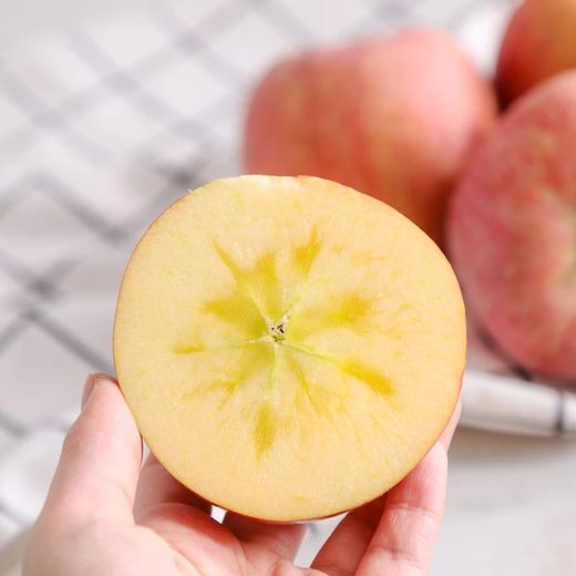 s 阿克苏红旗坡六队冰糖心苹果  多规格可选 商品图1