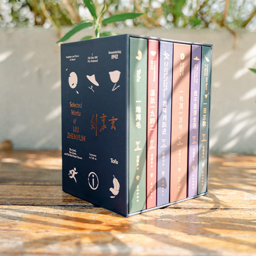 刘震云作品选（礼盒版全6册）| 茅盾文学奖作家、《非来不可》旅综常驻嘉宾刘震云经典作品选新版 商品图2