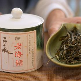 「老海塘」气韵透体古树茶，为珍稀者品鉴，野中有柔，绝茶也（30g）