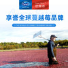 专属秒杀 | 智利进口OceanSpray优鲜沛 蔓越莓干907g/包[福利品] 商品缩略图2