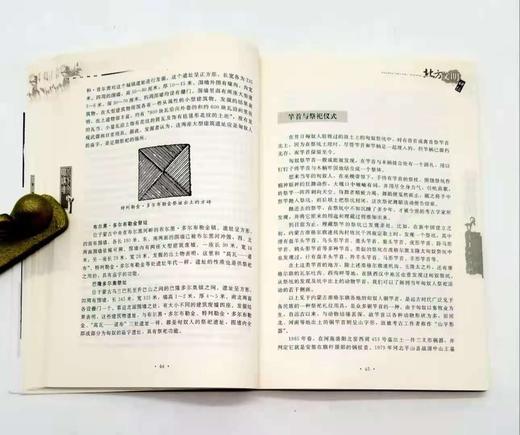 《远去的匈奴》，16开，盖山林、盖志浩著，内蒙古人民出版社2008年版，定价25，售价15元。品相9成。 商品图9