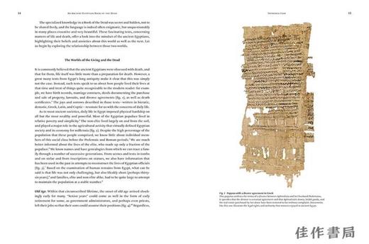 An Ancient Egyptian Book of the Dead: The Papyrus of Sobekmose /一本古老的埃及之书：索贝克莫斯的纸莎草纸 商品图3