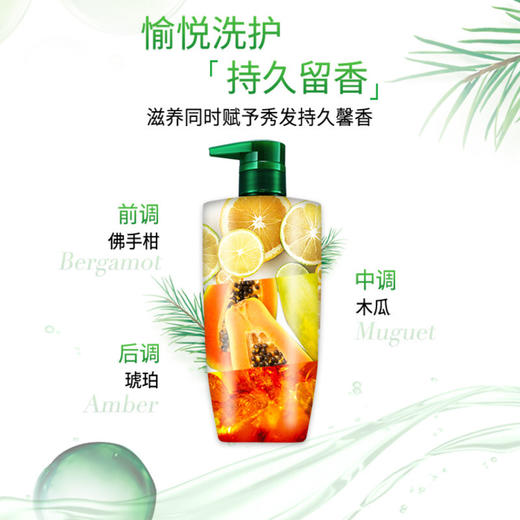 欧莱雅（LOREAL） 茶树植萃去屑净油洗发水 500ml（无硅油去屑止痒去油洗发露） 商品图2