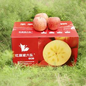 阿克苏红旗坡六队冰糖心苹果  多规格可选