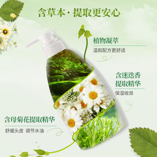 惠润(SUPER MiLD洗发水原装进口鲜花香氛控油洗发露600ml无硅油修护洗发乳蓬松保湿洗头膏 商品图2