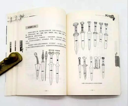 《远去的匈奴》，16开，盖山林、盖志浩著，内蒙古人民出版社2008年版，定价25，售价15元。品相9成。 商品图12