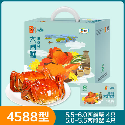 中粮阳澄湖大闸蟹4588型 商品图0