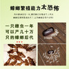 清扬 杀虫剂 无味喷雾杀虫水蟑螂药除螨灭蚊子飞虫苍蝇药除虫剂 驱蚊杀虫气雾剂 600ml 商品缩略图3