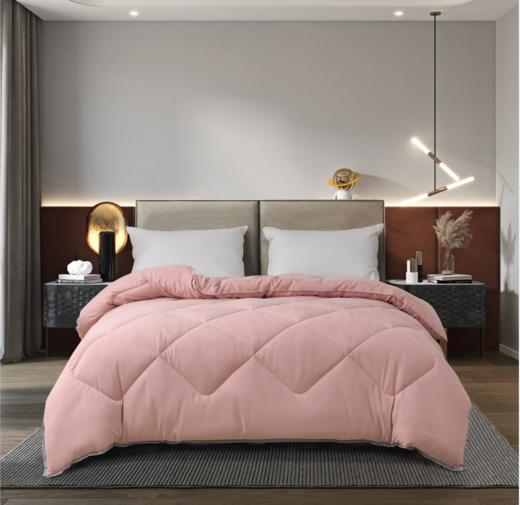 德绒聚热暖肤被 商品图0