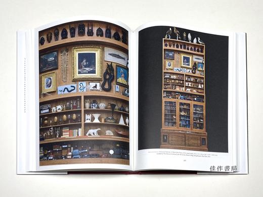 Mark Dion: Misadventures of a 21st-Century Naturalist/马克·迪翁：二十一世纪自然主义者的错误冒险 商品图5