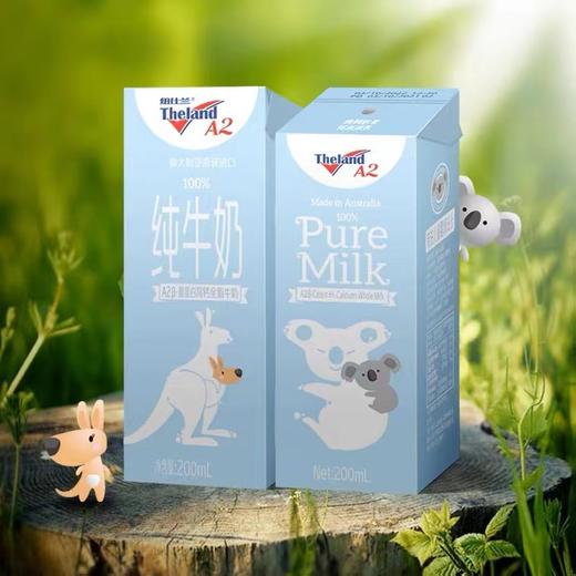 纽仕兰 A2β-酪蛋白儿童成长早餐全脂纯牛奶200ml*10礼盒-蓝色 商品图2