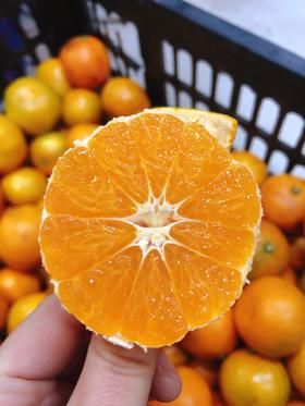 特价桔子4斤（拼团）