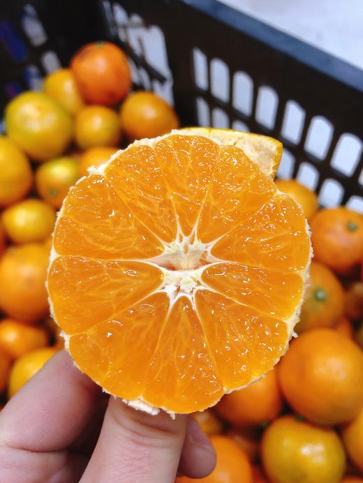 特价桔子4斤（拼团） 商品图0