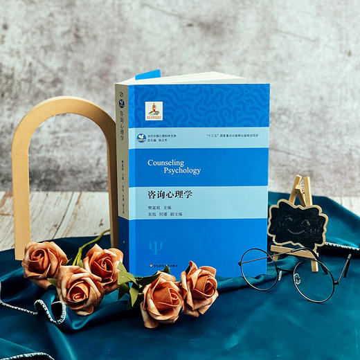 咨询心理学 心理学 当代中国心理科学文库 十三五国家重点出版物出版规划项目 咨询心理学入门图书 商品图1