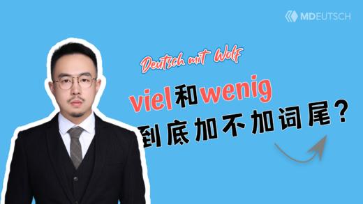 viel 和 wenig 到底加不加词尾？ 商品图0