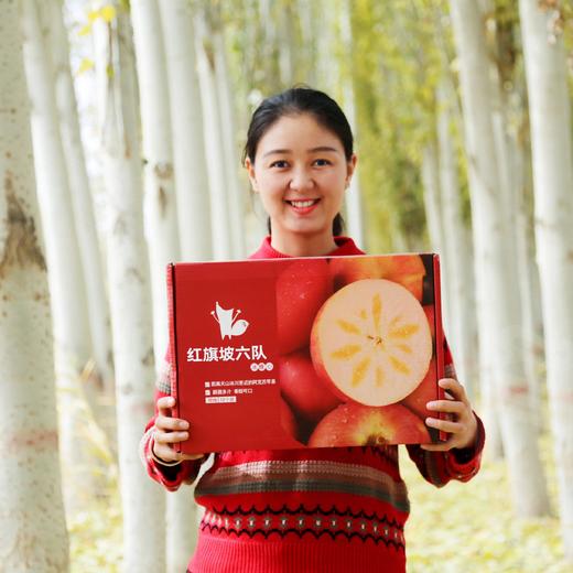 s 阿克苏红旗坡六队冰糖心苹果  多规格可选 商品图7