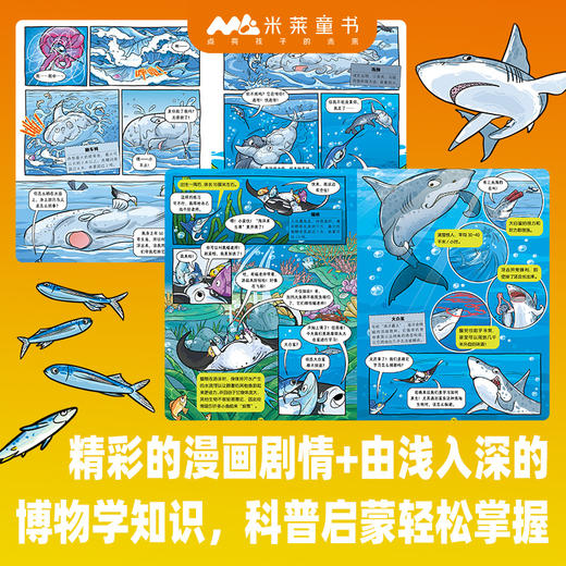 欢迎来到博物世界：给孩子的万物观察指南（全5册）5岁+ 5大场所 隐藏在其中的万事万物 商品图13