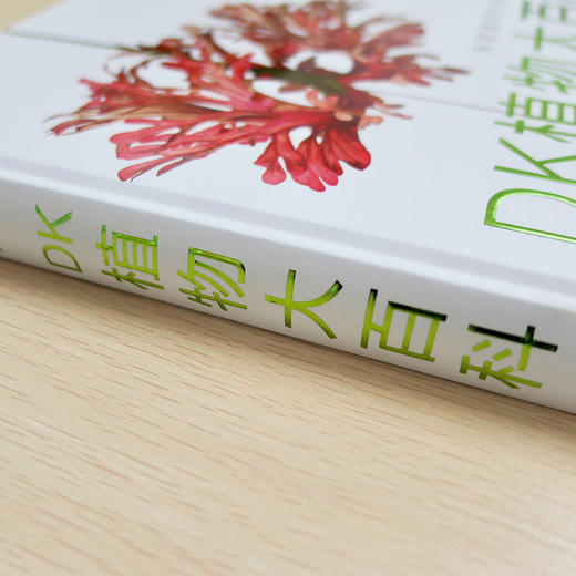 DK植物大百科 英国DK出版社 著 生物世界 科普读物 商品图3