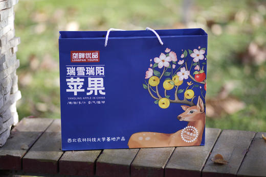 垄畔优品瑞阳瑞雪苹果 商品图8
