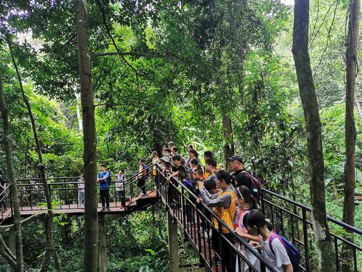 高端C营！国内罕有 研究蝴蝶 专家带领做课题，7天6夜搞透蝴蝶这事儿 商品图2