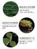 澜沧古茶茶妈妈高山贡眉 （2021年 散茶） 商品缩略图2
