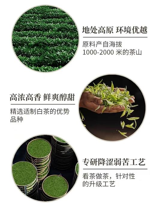 澜沧古茶茶妈妈高山贡眉 （2021年 散茶） 商品图2