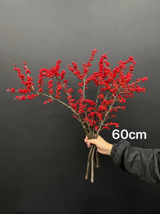 精品A级北美冬青富贵籽多款选择 商品图5