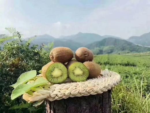 陕西眉县猕猴桃 5斤臻选礼盒装 商品图0