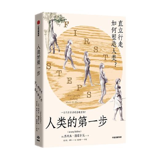 人类的第一步 直立行走如何塑造人类 杰里米德席尔瓦 著 附赠折页—学界认可的全新人类演化树 颠覆认知 重新定义人类 中信出版 商品图3
