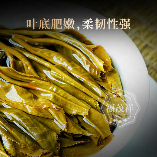 【贡茶之源】2019年春茶普洱生茶古600倚邦贡茶 大师联名357g饼茶 一饼一码 商品图4