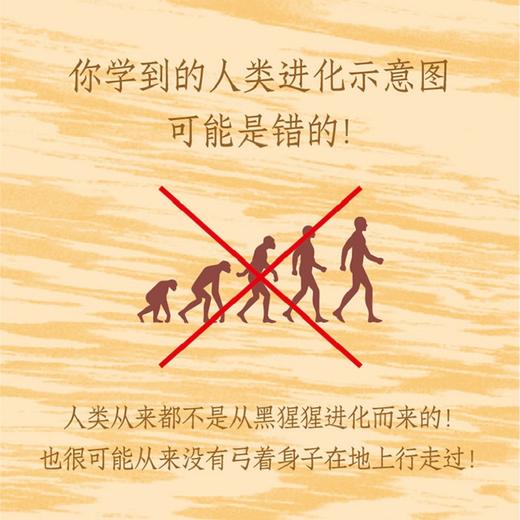 人类的第一步 直立行走如何塑造人类 杰里米德席尔瓦 著 附赠折页—学界认可的全新人类演化树 颠覆认知 重新定义人类 中信出版 商品图1