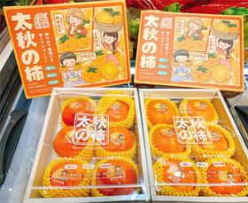 熙果树 太秋之柿子（6个装/约2.7斤）|水果