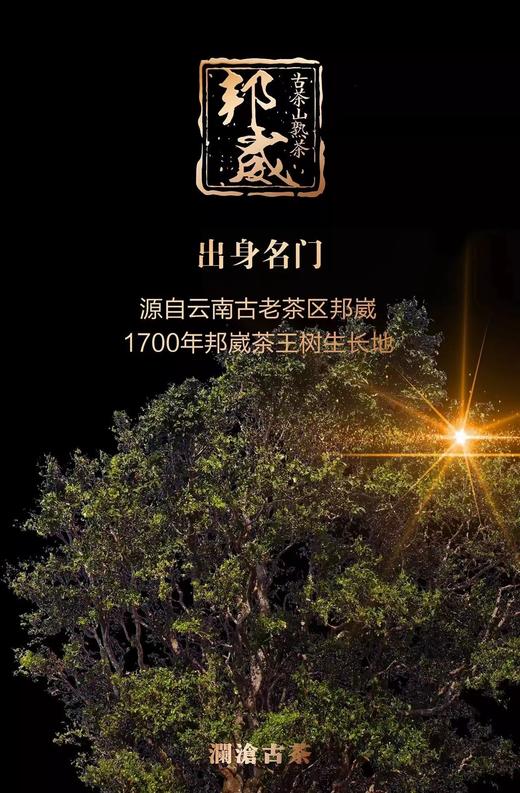 澜沧古茶邦崴古树熟茶    （2017年） 商品图3