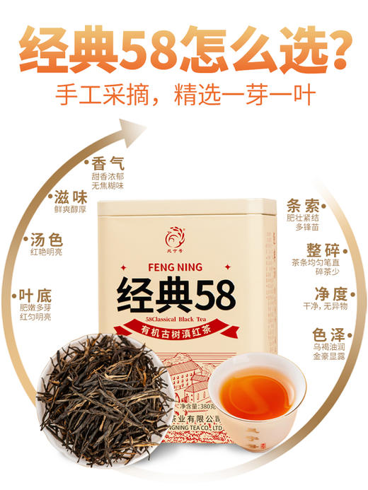凤宁号【有机古树经典58】云南滇红茶380克/盒 商品图5