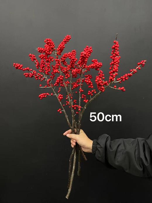 精品A级北美冬青富贵籽多款选择 商品图3