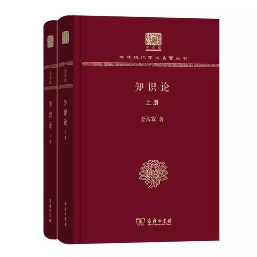 知识论 金岳霖著（全两册）（120年纪念版）(中华现代学术名著丛书) 商品图0