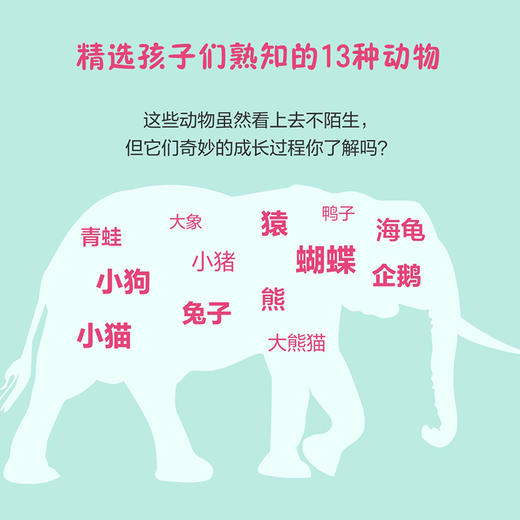 DK动物成长奥秘：看！我在长大 中英双语版+学习卡 套装2册 商品图4