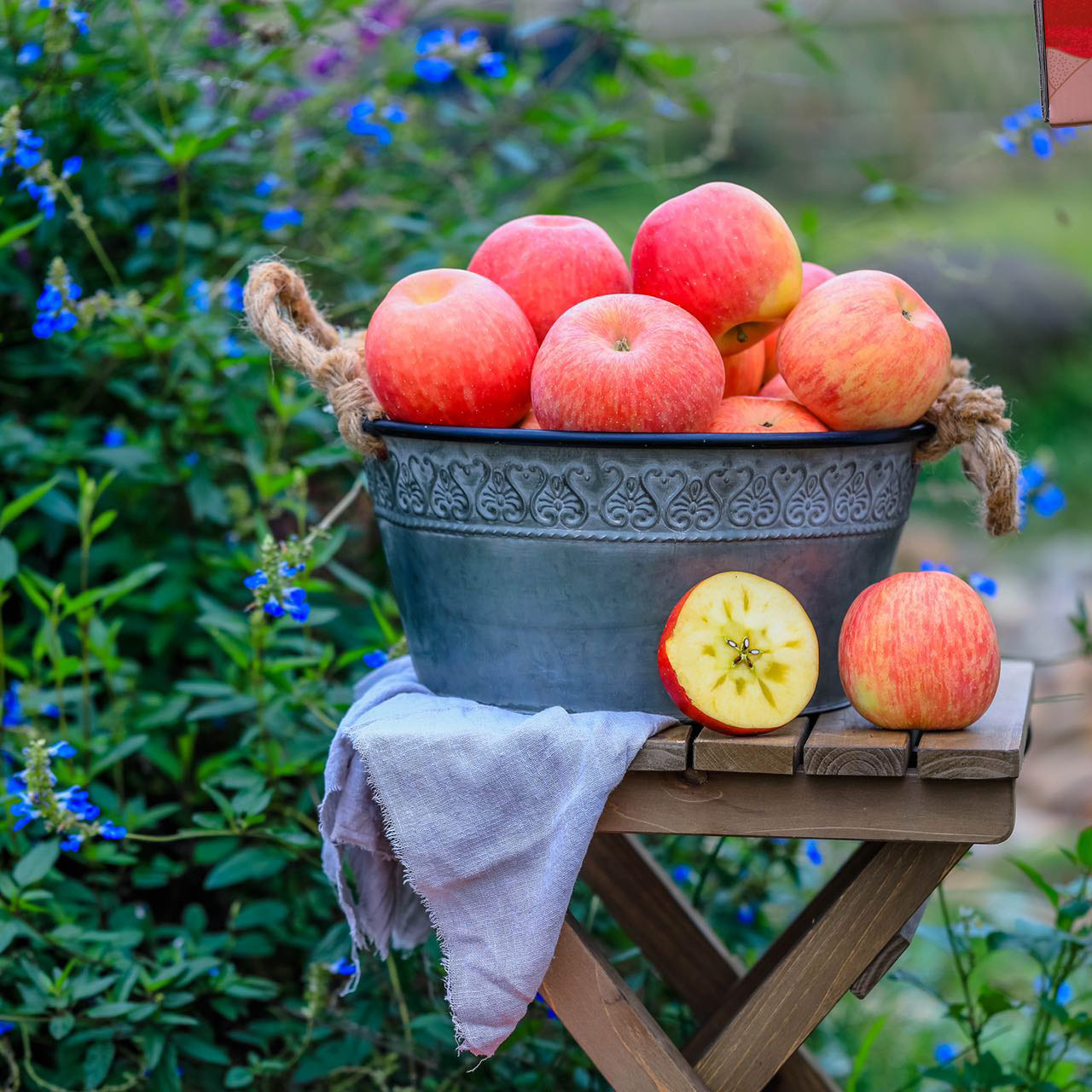 【新疆阿克苏苹果 5斤】| 冰糖心沁甜，到“爱不释手”脆口，风味十足，现在，正当美丽的时刻。