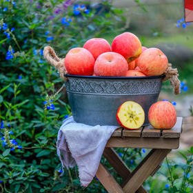 【新疆阿克苏苹果 5斤】| 冰糖心沁甜，到“爱不释手”脆口，风味十足，现在，正当美丽的时刻。